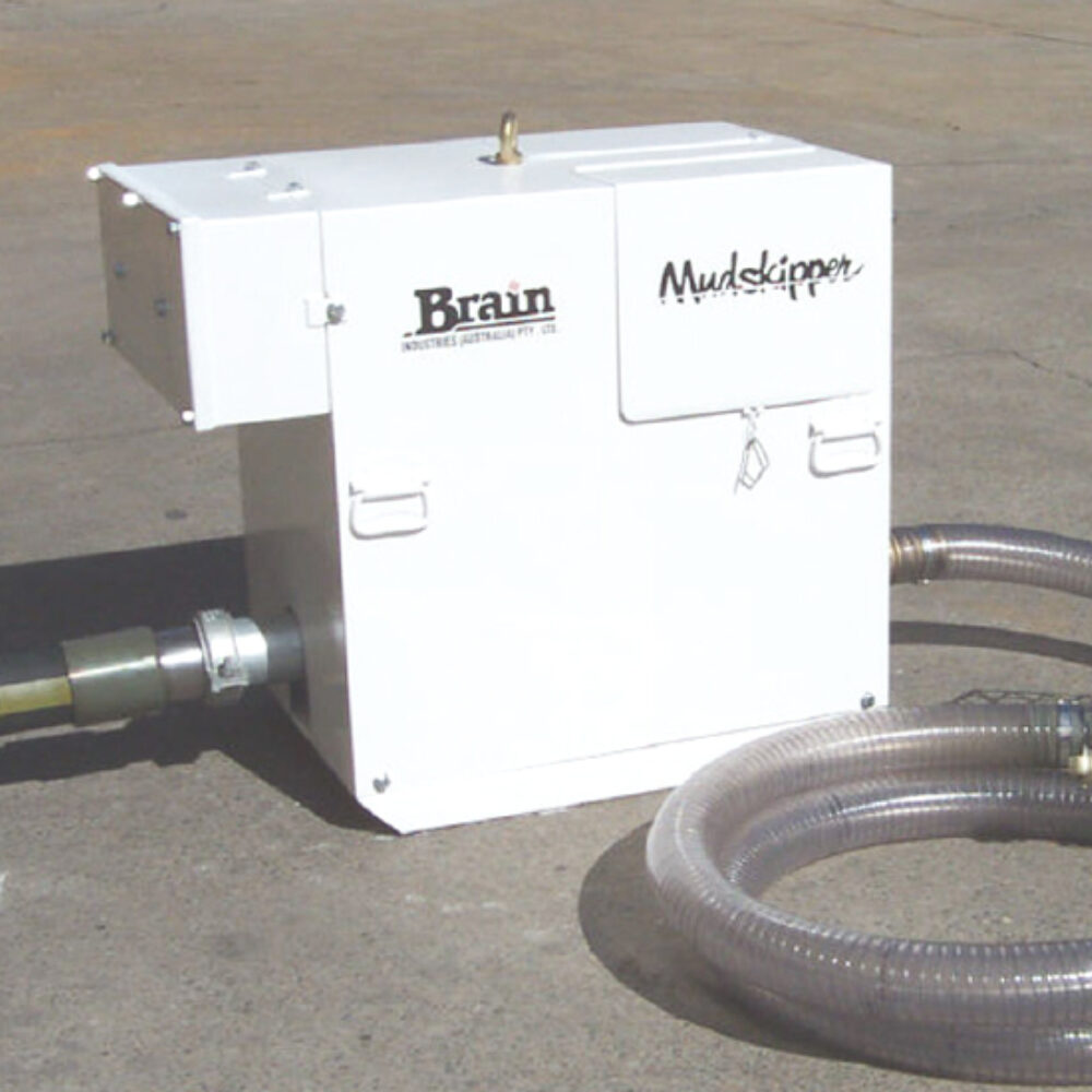 Brain Mudskipper bilge pump