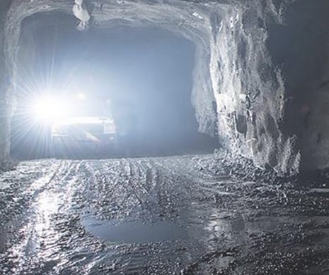 Brain pumps water removal